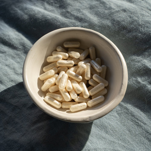 Qualité des probiotiques DIJO pour une bonne efficacité