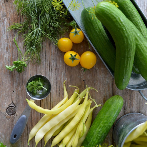 Les prébiotiques dans l'alimentation | DIJO l'expert du ventre, de la digestion et des probiotiques