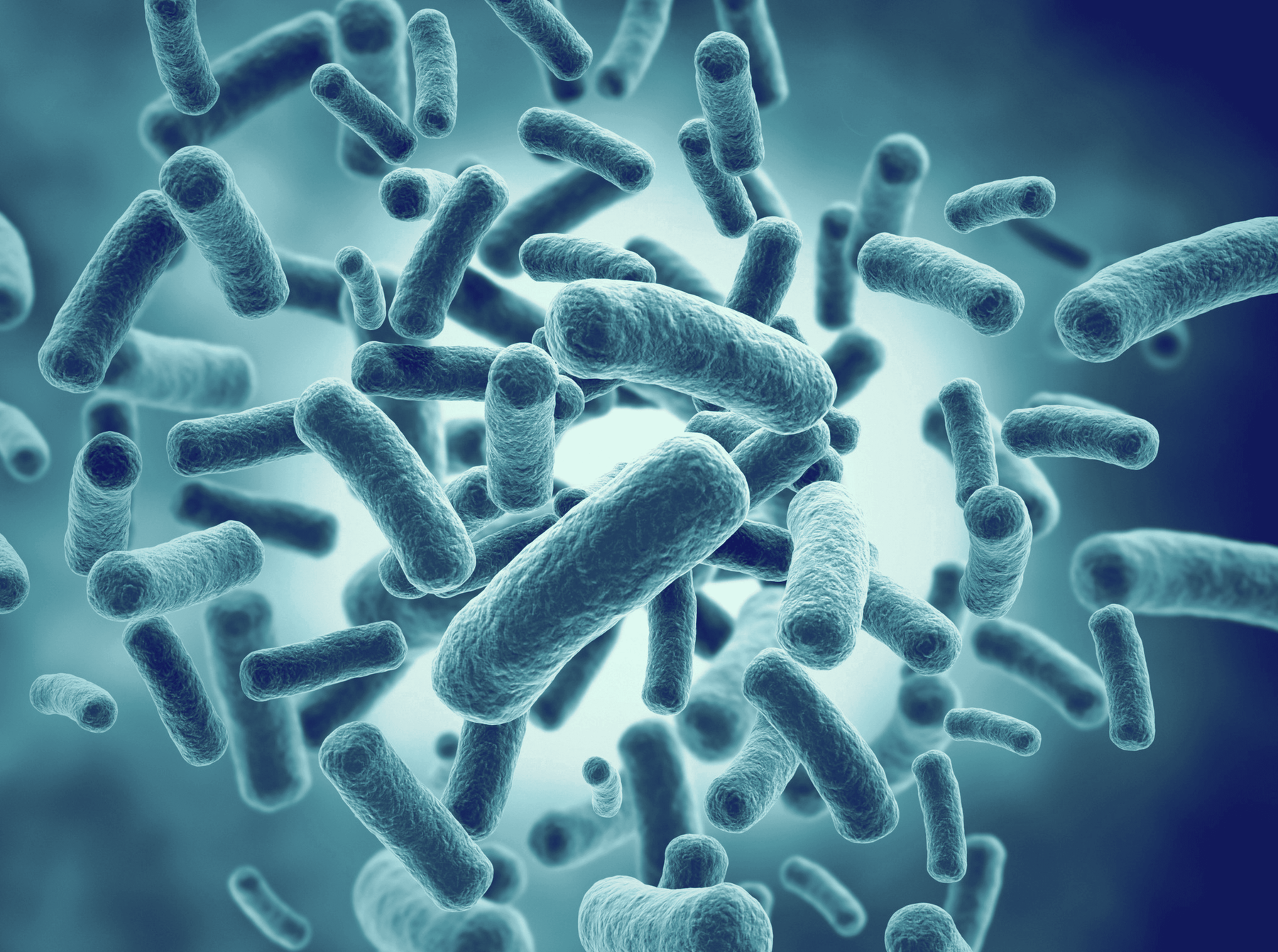 Microbiote intestinal : c'est quoi ? A quoi ça sert ?