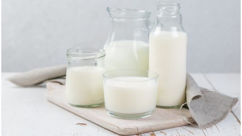 Choisir des probiotiques sans lactose pour une meilleure digestion | DIJO Paris