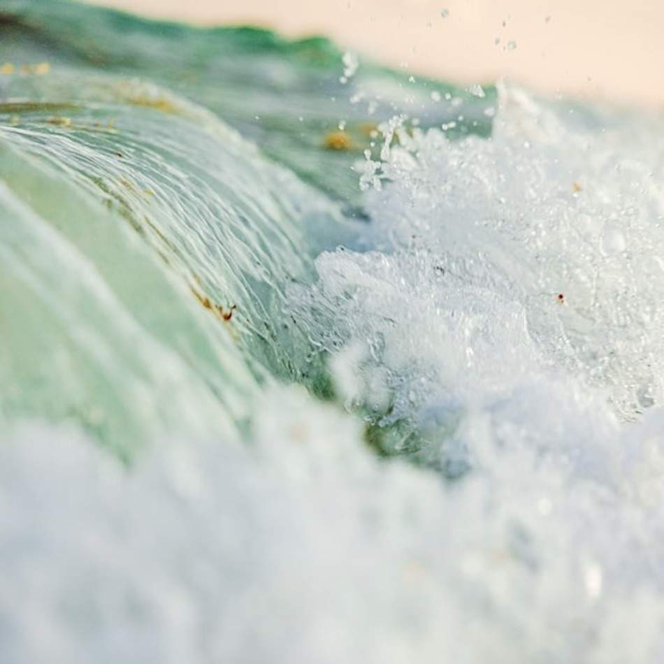 LE LITHOTHAMNE : UNE ALGUE AUX SUPERS POUVOIRS | DIJO l'expert du ventre, de la digestion et des probiotiques